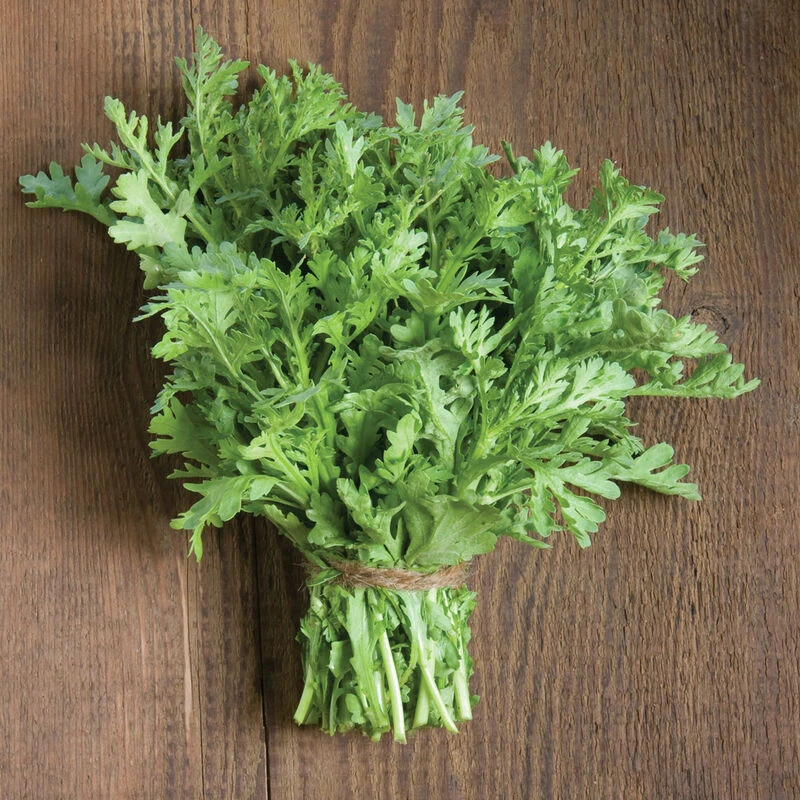 Shungiku 2 Shungiku - Image 2