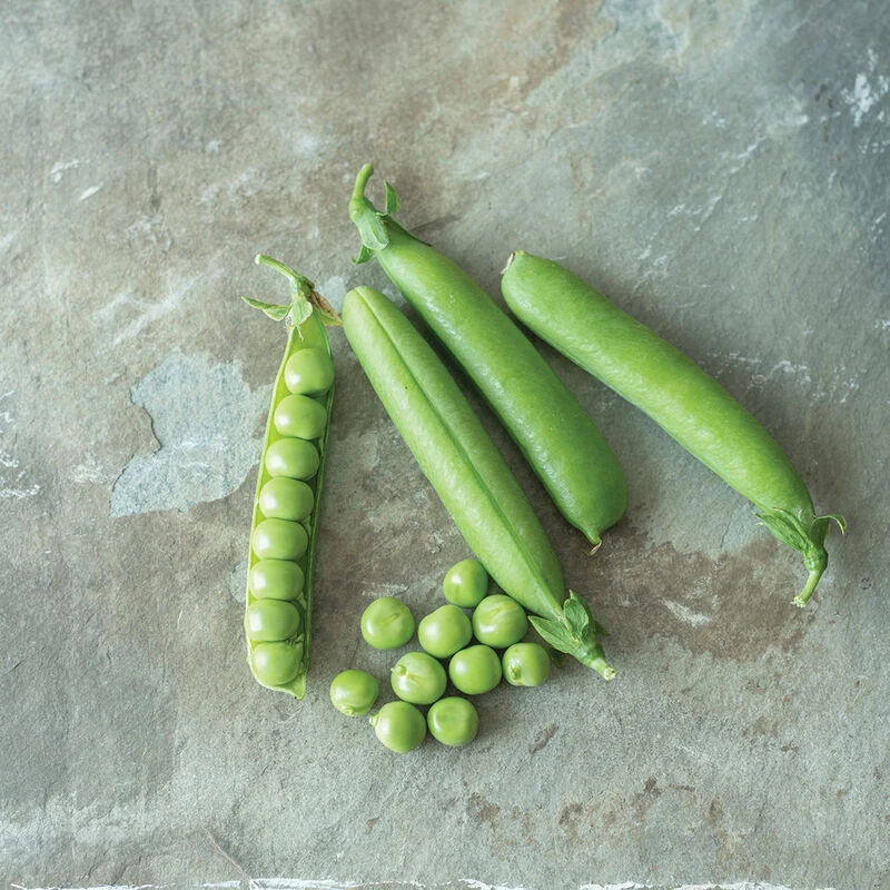 Maxigolt 2 Maxigolt - Image 2