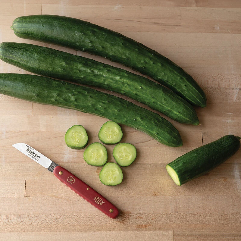 Tasty Jade 2 Tasty Jade - Image 2