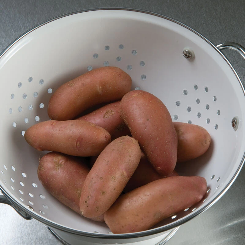 French Fingerling 2 French Fingerling - Image 2