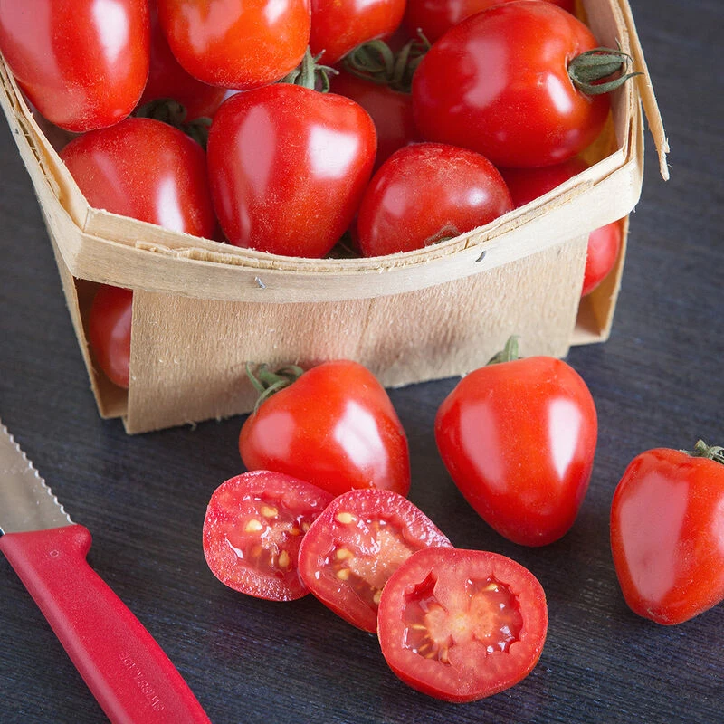 Tomatoberry Garden 1 Tomatoberry Garden