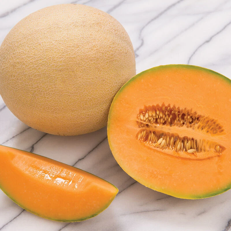 Sarah's Choice 2 Sarah's Choice - Image 2