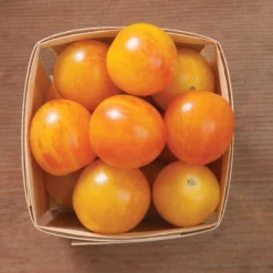 Sunrise Bumble Bee -Svelte Garden Sales 03112g 03 sunrisebumble