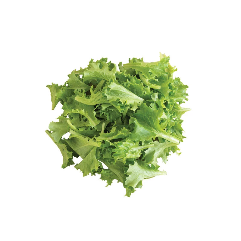 Celinet 2 Celinet - Image 2