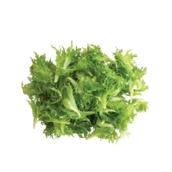 Coastline -Svelte Garden Sales 03268g 03 coastline