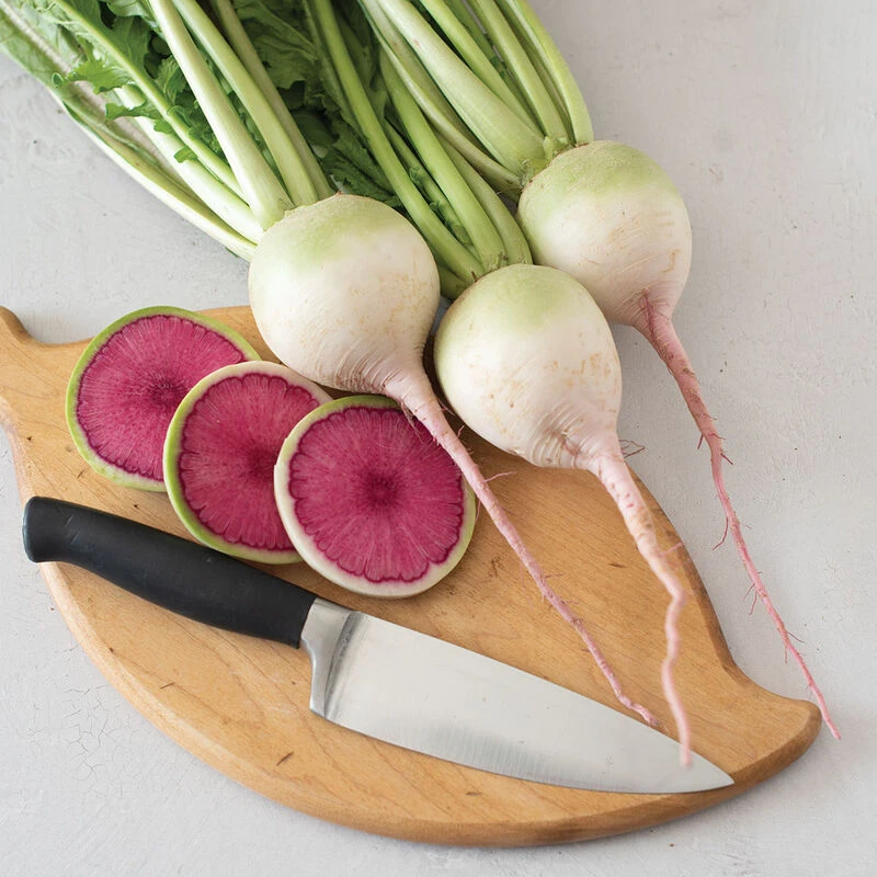 Purple Heart 1 Purple Heart