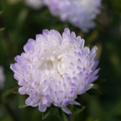 Svelte Garden Sales 20 Tower Silver