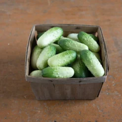 Quirk -Svelte Garden Sales 03408 03 quirk