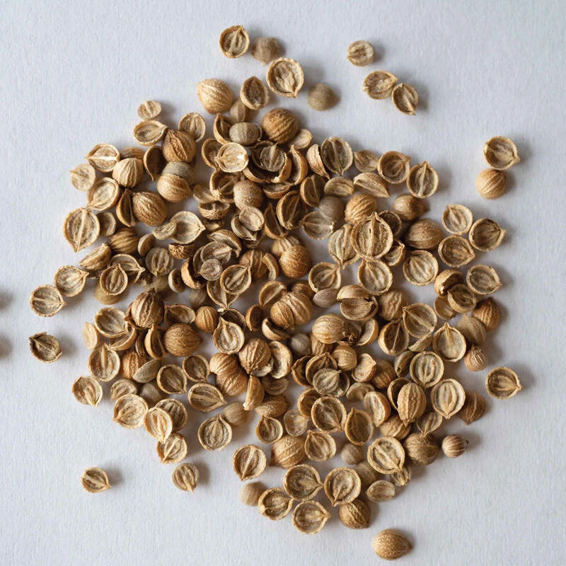 Santo Monogerm 3 Santo Monogerm - Image 3