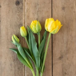 Marie Jo -Svelte Garden Sales 03476 03 marie jo