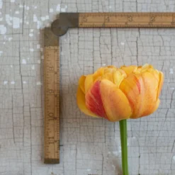 Sunlover 7 Sunlover -Svelte Garden Sales 03493 03 sunlover