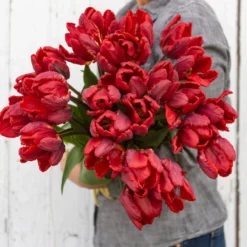 Rococo -Svelte Garden Sales 03497 03 rococo