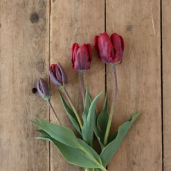 Rococo -Svelte Garden Sales 03497 04 rococo