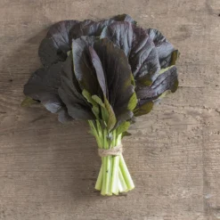 Red Kingdom -Svelte Garden Sales 03748 02 redkingdom