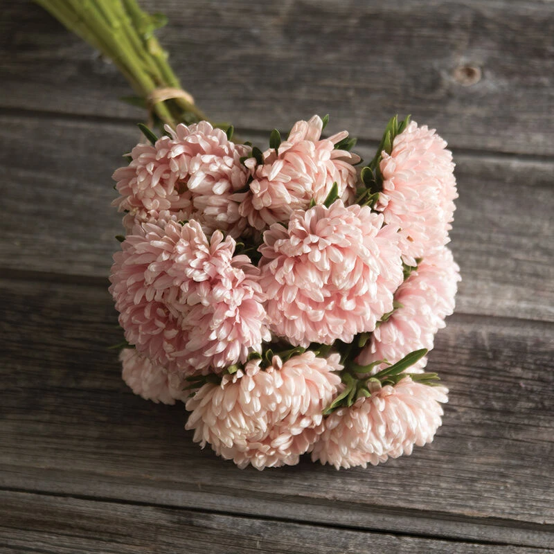 Tower Chamois 1 Tower Chamois