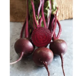 Svelte Garden Sales -Svelte Garden Sales 03871 02 babybeet