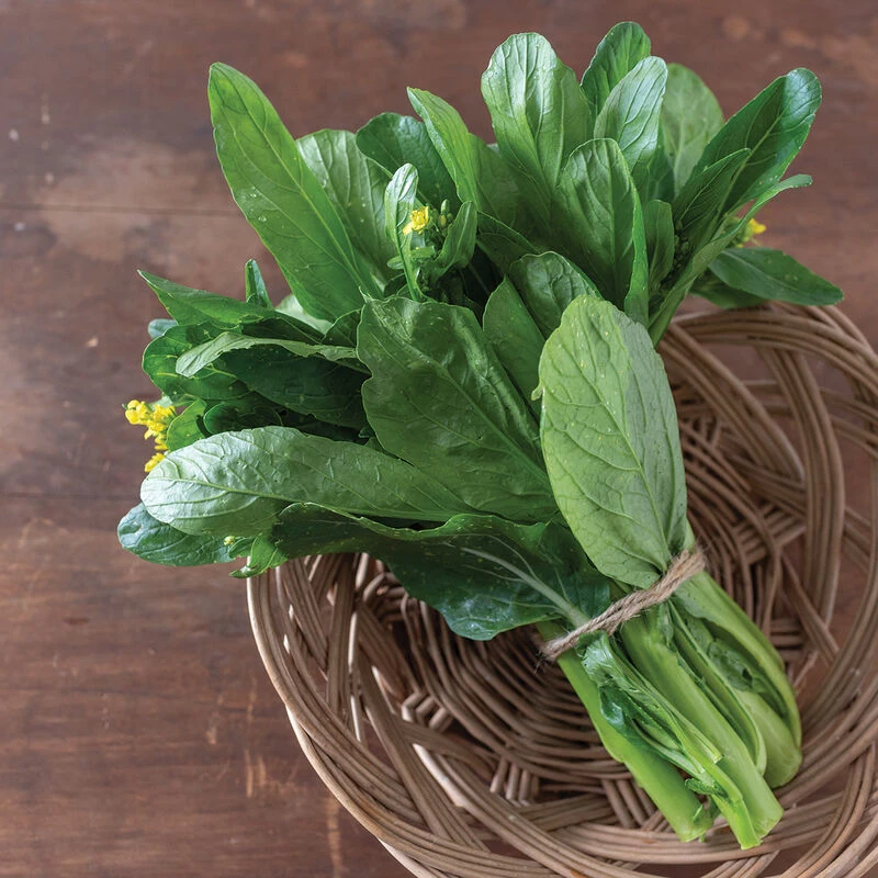 Green 70 D Improved 1 Green 70 D Improved