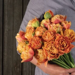 Sensual Touch 8 Sensual Touch -Svelte Garden Sales 04058 04 sensual touch