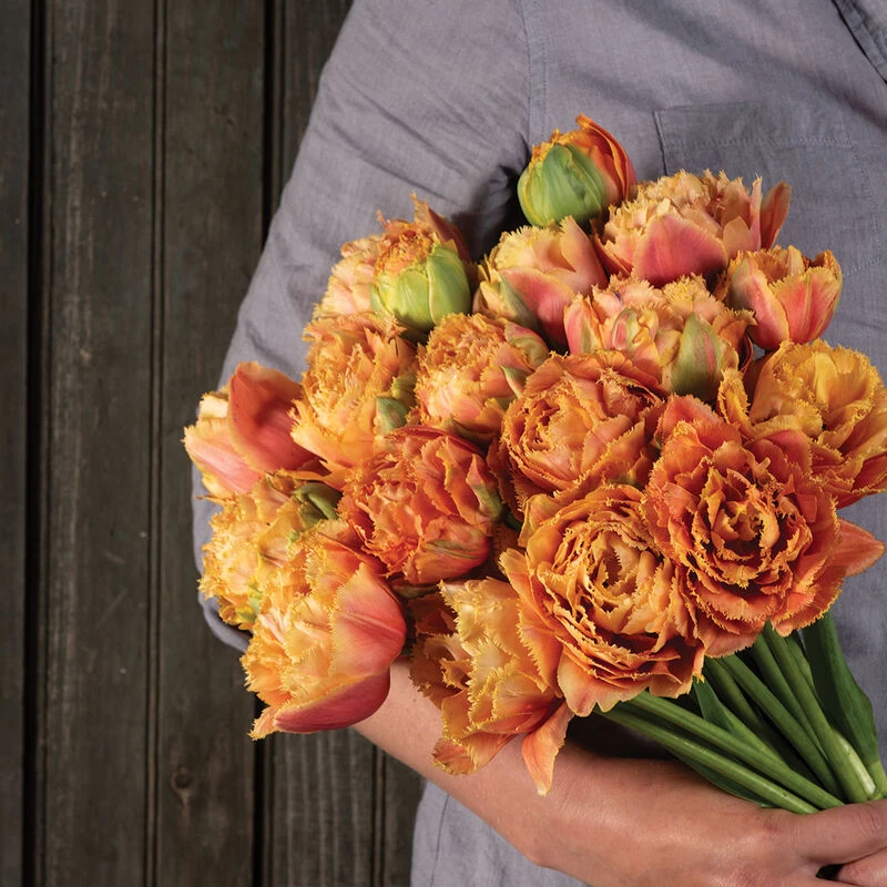 Sensual Touch 4 Sensual Touch - Image 4