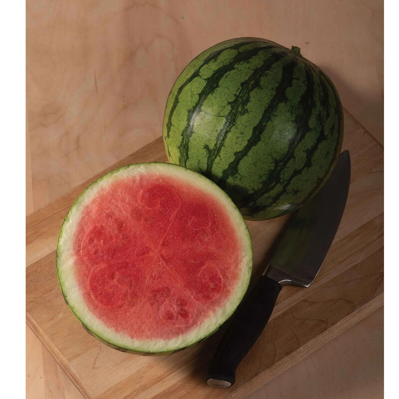 Ocelot 2 Ocelot - Image 2