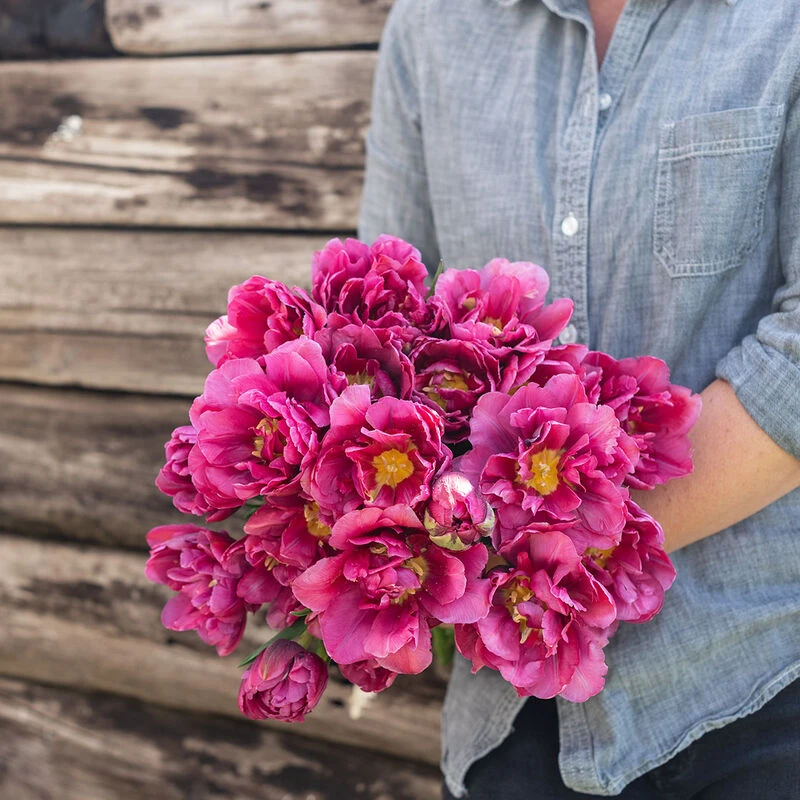 Margarita 2 Margarita - Image 2