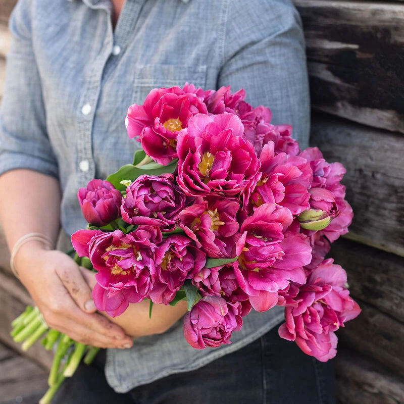 Margarita 1 Margarita