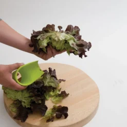 Salanova® Cutter -Svelte Garden Sales 07136 03 salanovacutter