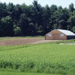 Spring Green Manure Mix